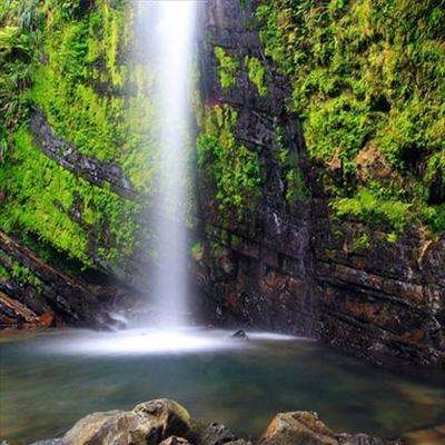 El Yunque: KAOS içindeki tek tropikal orman